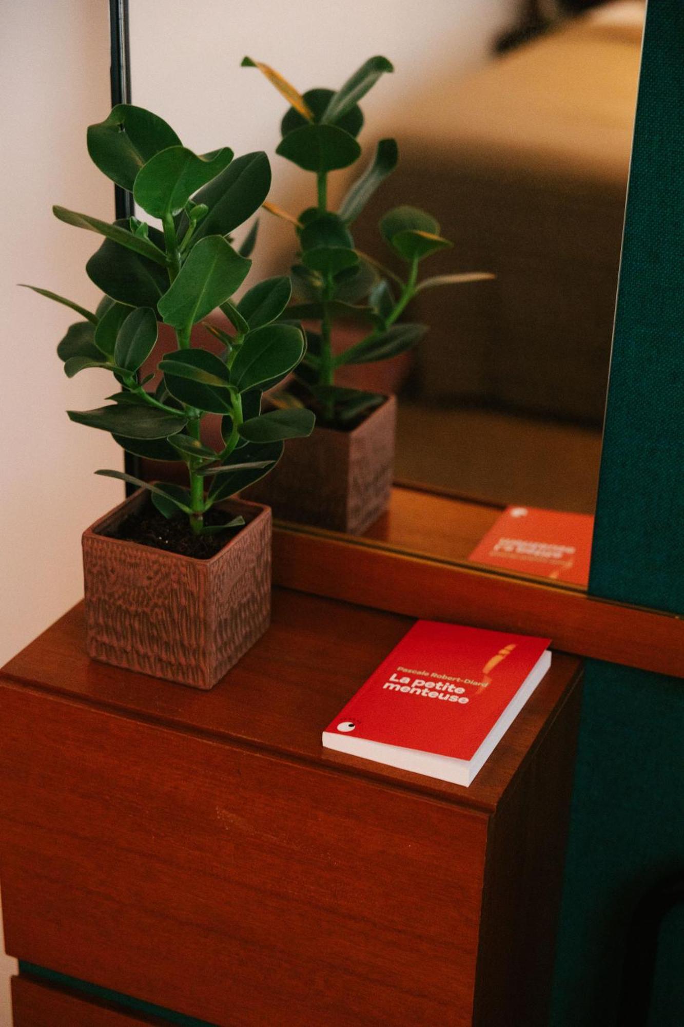 Appartement Aplace - Marvellous Flats & - Leeuwenstraat 20 *
